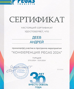 Сертификат Конференции PEGAS 2024 в Турции